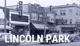 MEDC Report - Lincoln Park